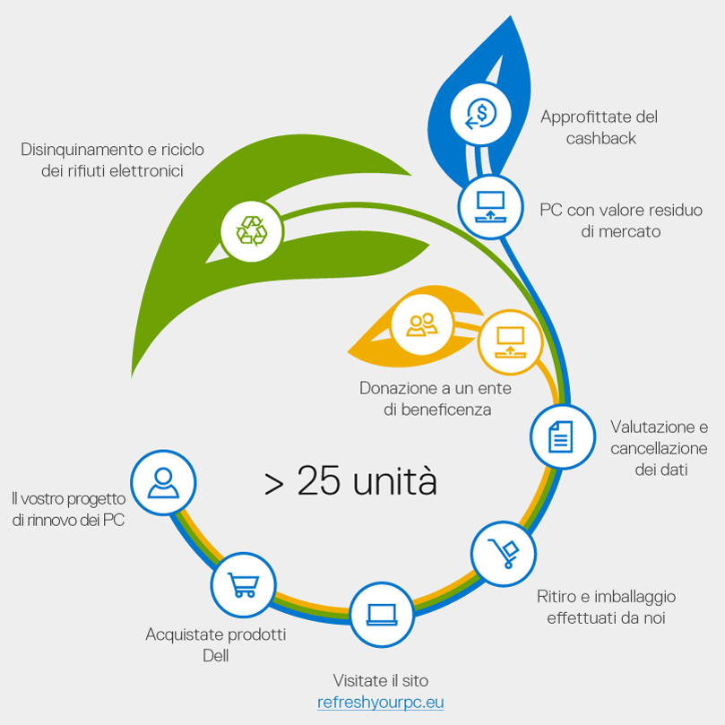 Roadmap